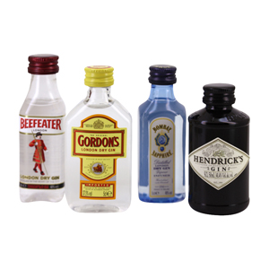 Tasting Box 4 gin Beefeater, Gordon's, Hendrick's & Bombay Sapphire