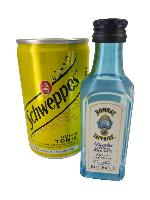 Box Cocktail Gin Tonic Bombay Sapphire 